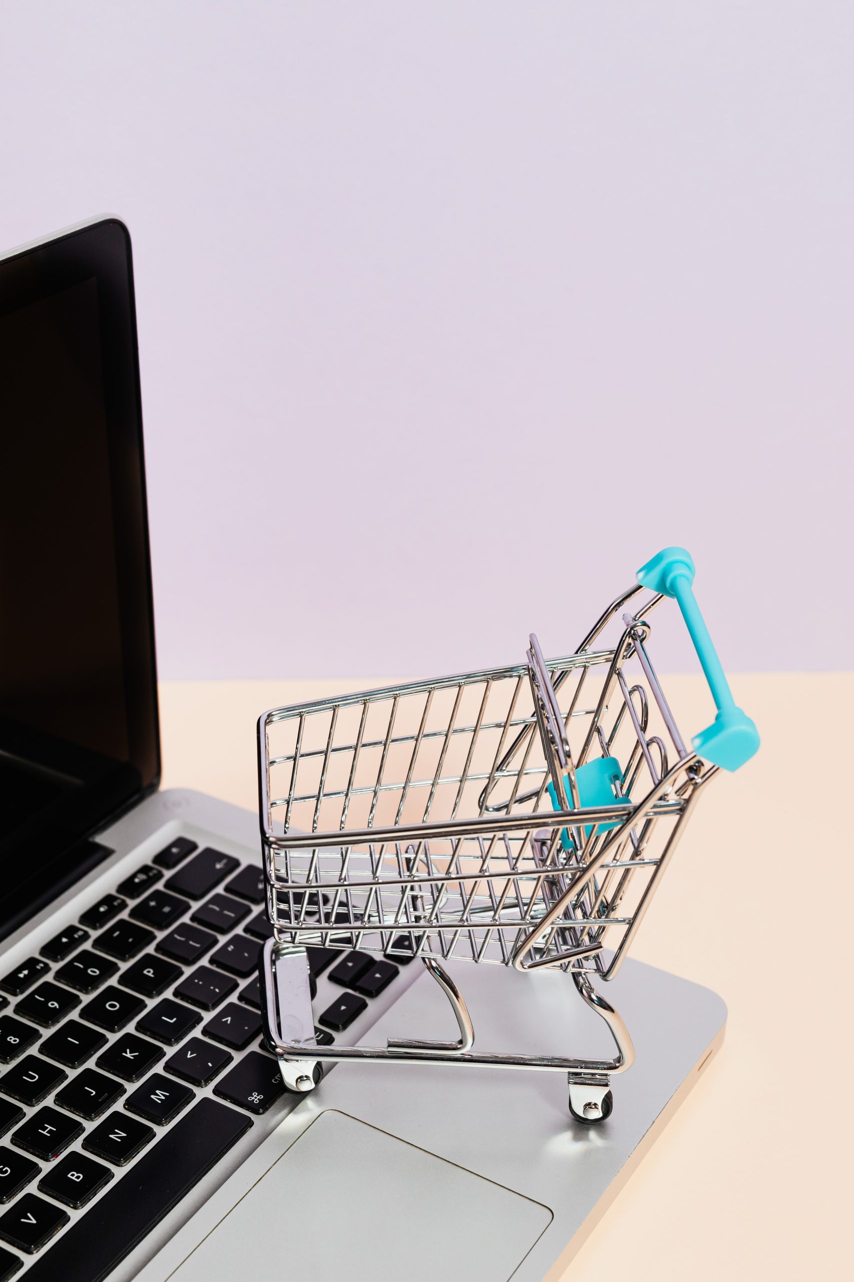 Benefits of Using Digital Marketing For E-commerce Websites