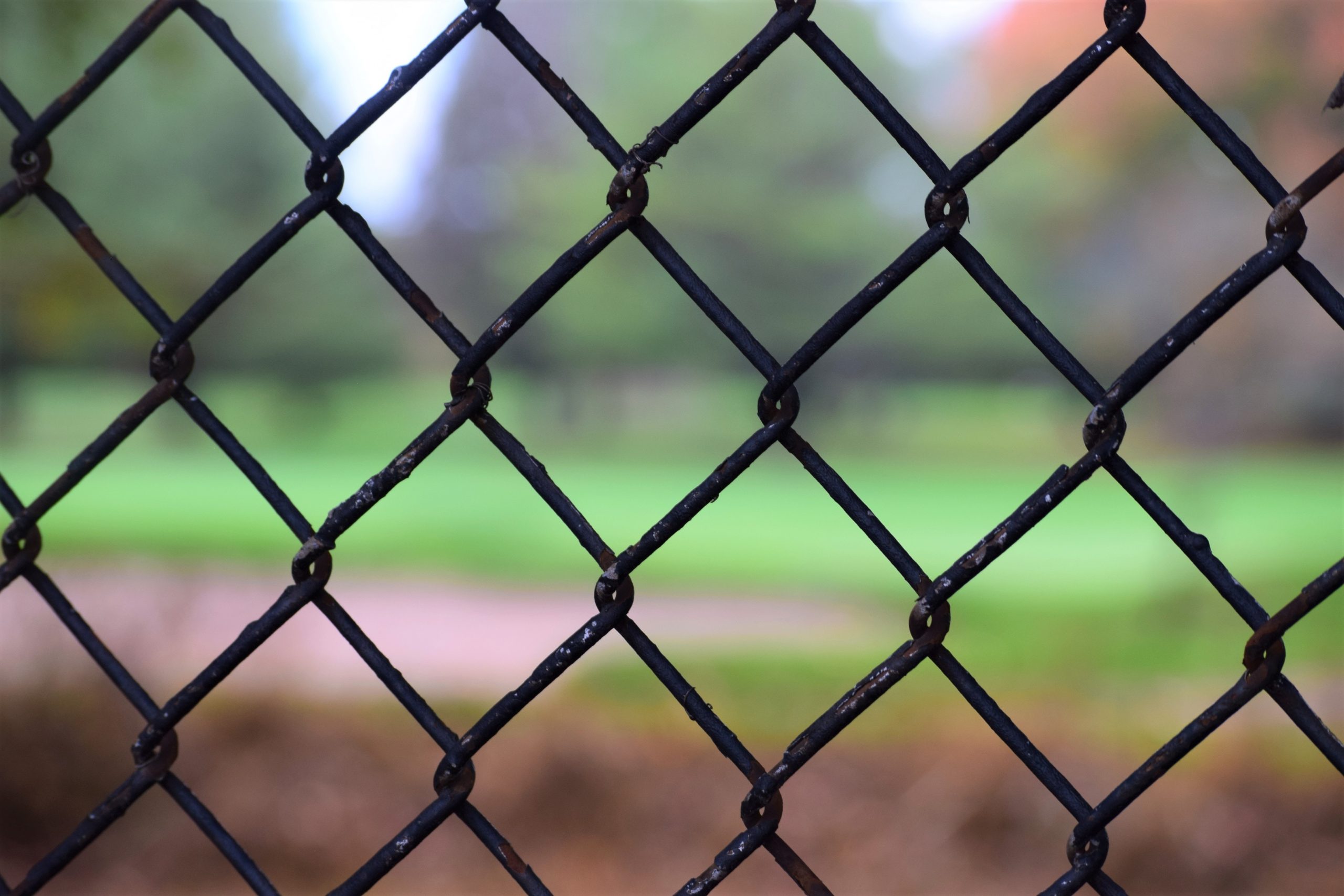 ￼What is Wire Rope Safety Barrier and How Does It Work?
